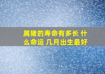 属猪的寿命有多长 什么命运 几月出生最好